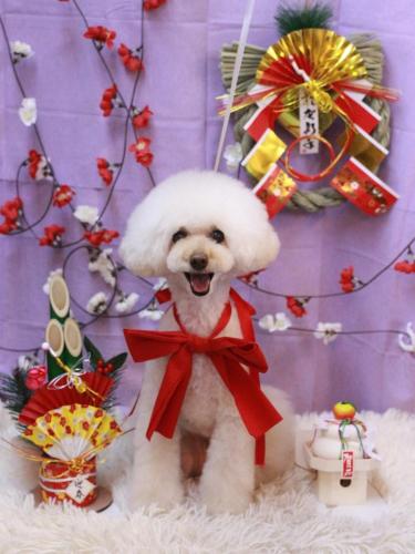 20230120ピッピちゃん